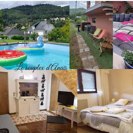 Bed and Breakfast Le Souplex D'Anais Schirmeck Exterior foto