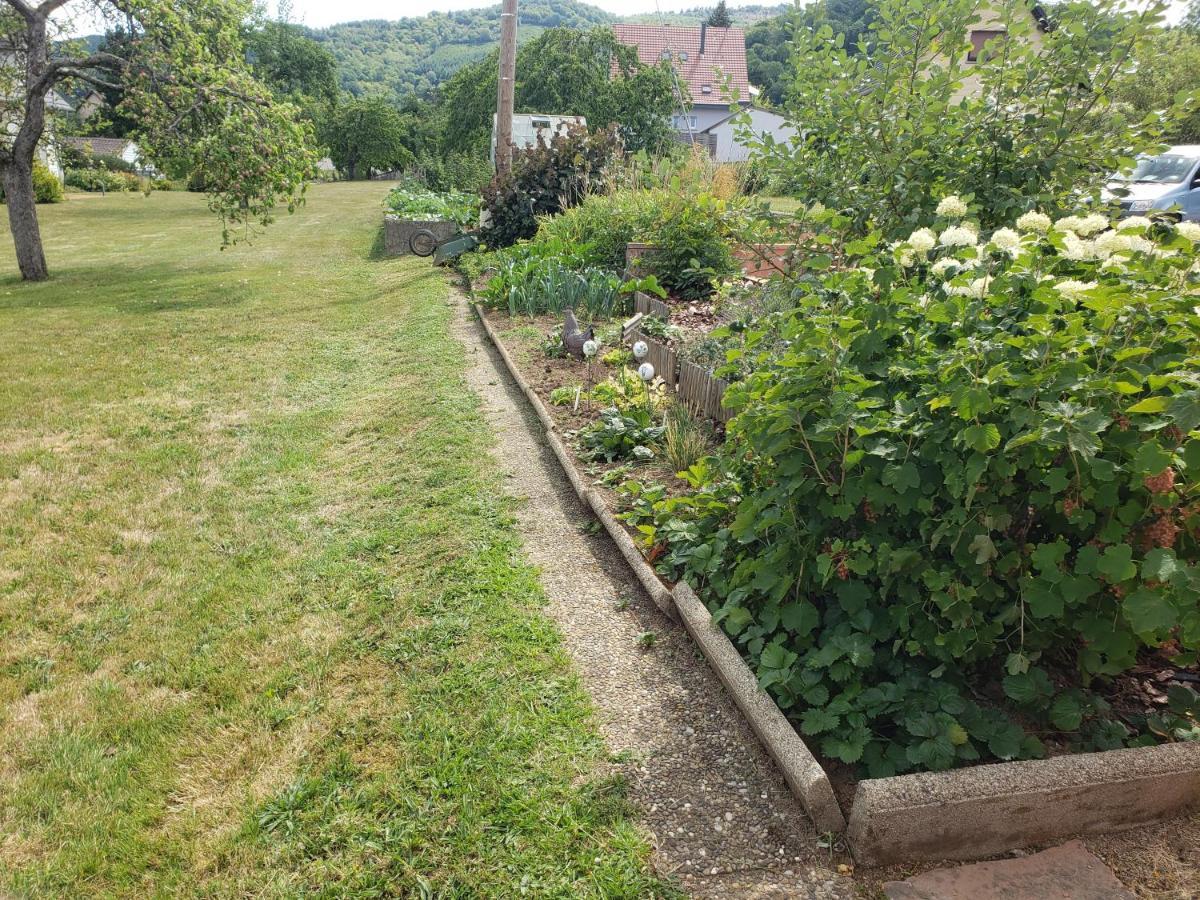 Bed and Breakfast Le Souplex D'Anais Schirmeck Exterior foto